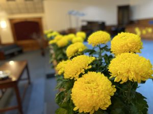 IMG_E2492