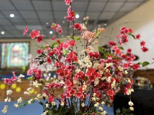 IMG_E2493